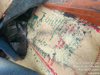 Fire and Water Affected Stock of Rice