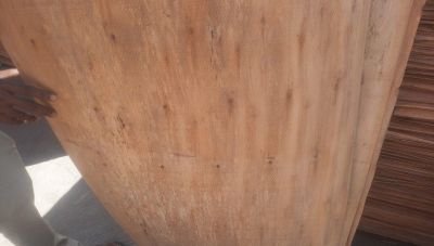 DAMAGED IMPORTED VENEER PLY 3,096 BUNDLES (98.90 CBM)
