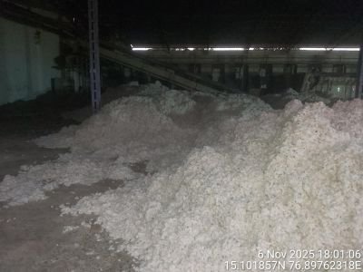 Fire damaged Lint White