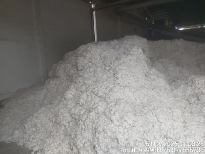 Fire damaged Lint black