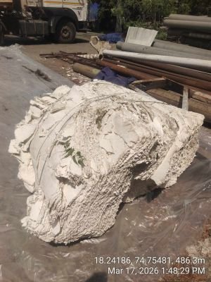 Water Affected stock of Pulp Bleached Wet Lap