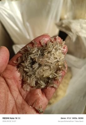 Damaged Stock of Rice | Salvorsettlers