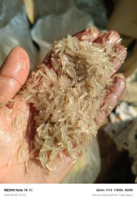 Damaged Stock of Rice | Salvorsettlers