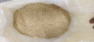 Damaged Stock of Rice | Salvorsettlers