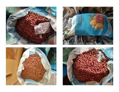 Damaged Stock of Groundnut Seed