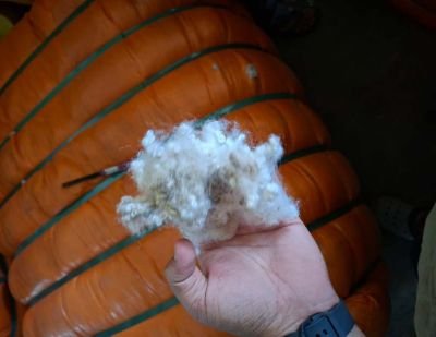Rain Water Affected Stock of polyester staple fibre & processed polyester fibre