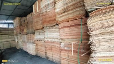 DAMAGED VENEER PLY  OF APPROX 4627 SHEETS