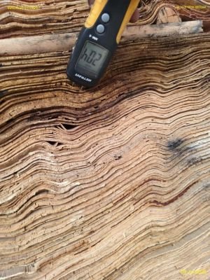 DAMAGED VENEER PLY  OF APPROX 4651 SHEETS