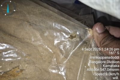 Damaged Stock of Horlicks Pre-Leo with Superfood
