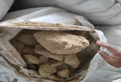 Water Affected Stock of Dhania Powder